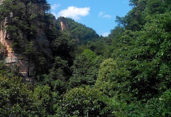 头条怎么赚钱快速方法
