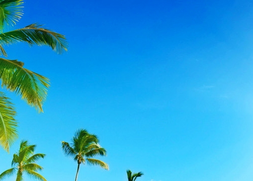 逆向思维赚钱案例