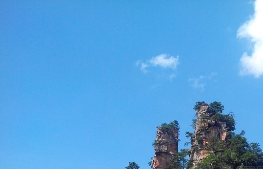 空手赚钱的真实案例