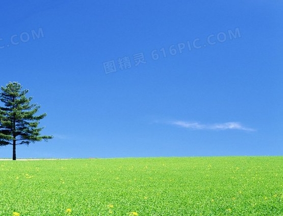 淘宝自然流量怎么赚钱