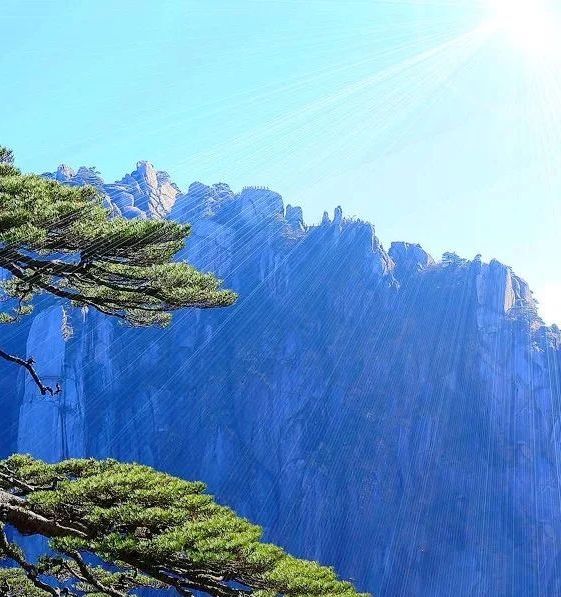 露营怎么赚钱