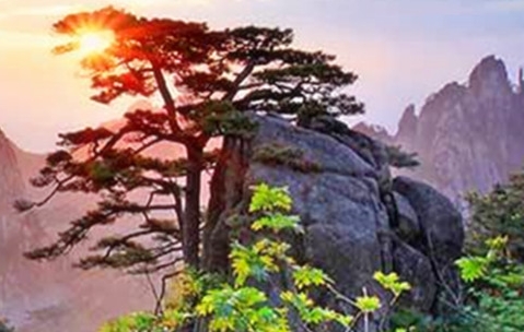 混合并购著名案例