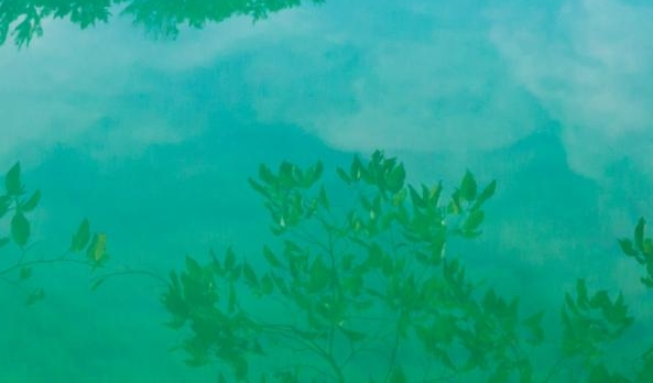 做信息流广告赚钱吗