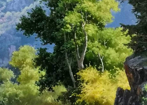 摆摊卖金鱼赚钱吗