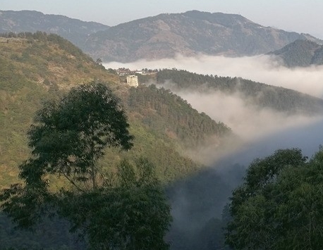 建材批发属于哪个行业