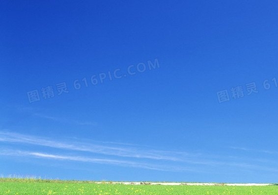 养猪游戏赚钱的方法