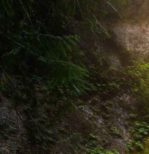 番茄小说赚钱方法
