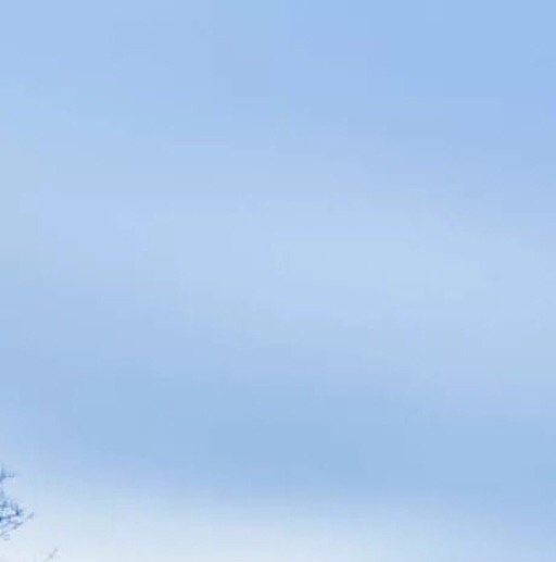 网络创业赚钱案例