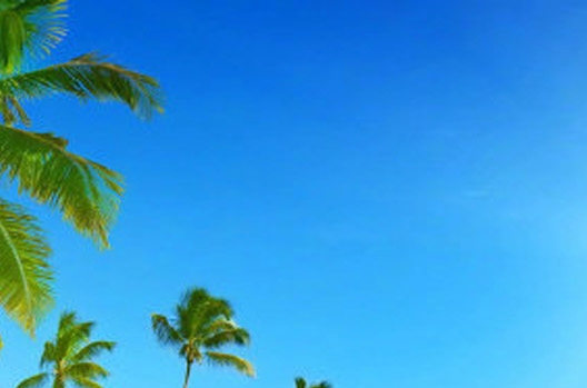 过年宅家赚钱方法