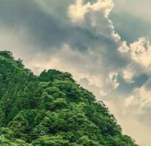 美拍快速赚钱方法