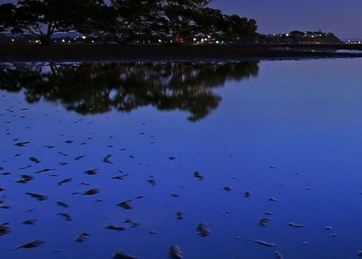 本小利大的地摊生意