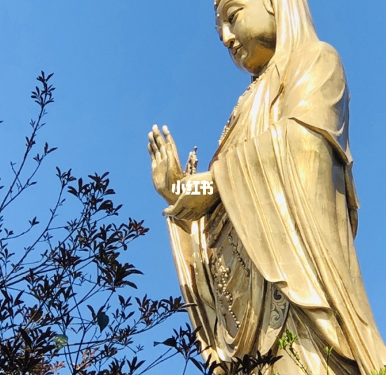 闲鱼赚钱项目是真的吗