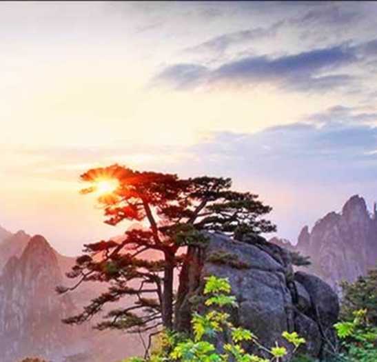 赚钱思维 经典案例
