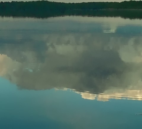 拼夕夕自提点怎么赚钱