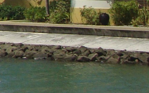 浏览广告赚钱一天100元