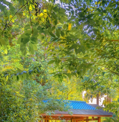 家庭赚钱小方法
