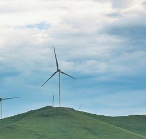 小马游戏公司