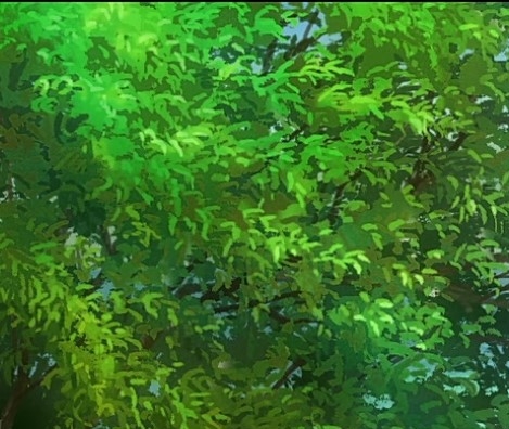 赚钱反馈案例