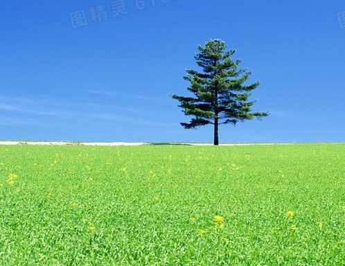 百度文库赚钱心得