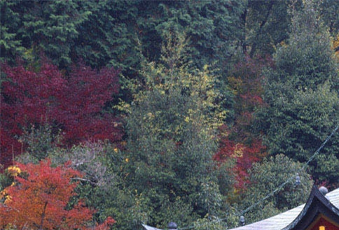 去北京送快递赚钱吗