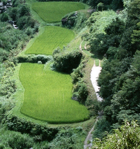 杭州餐饮加盟