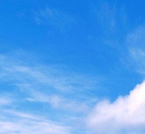 空手赚钱的真实案例