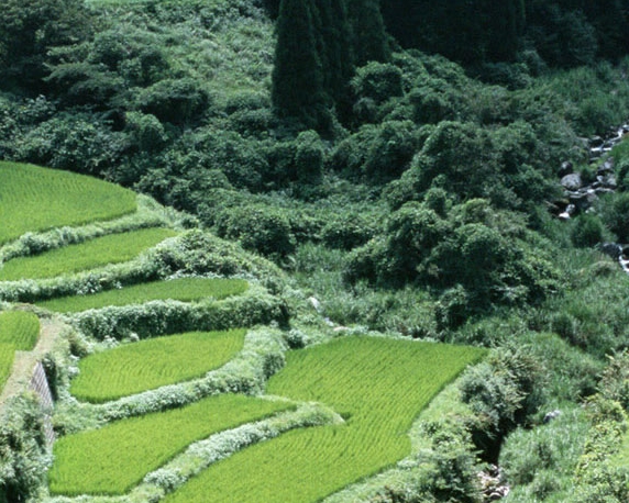 寒假学生兼职赚钱方法