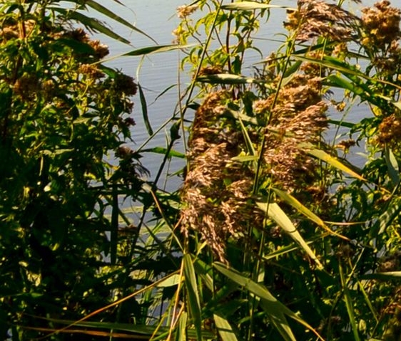 逆向思维赚钱模式套路