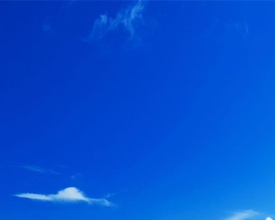 吃饭赚钱方法视频