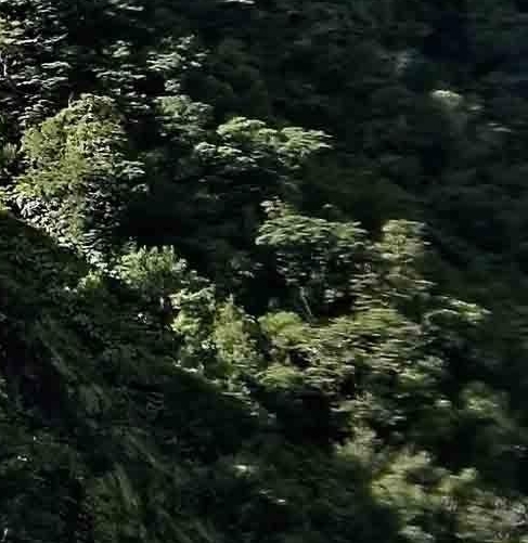 编辑短视频赚钱方法