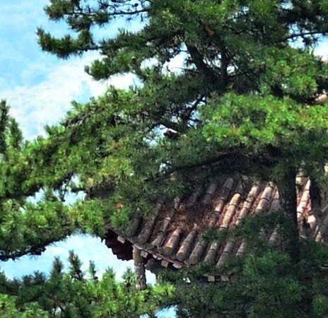 火山视频有几种赚钱方法