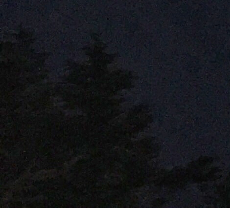 劳动仲裁真实案例分享