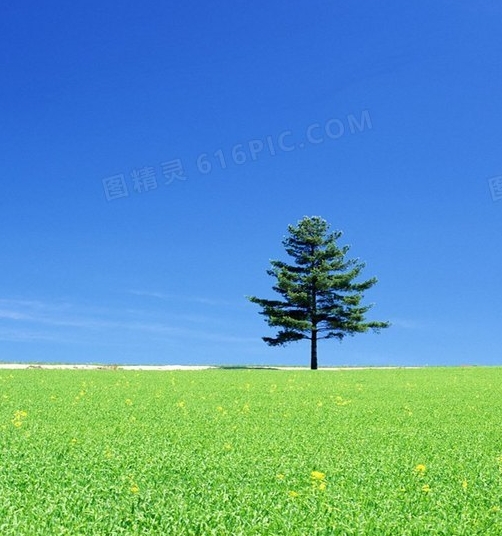 赚钱感悟及心得