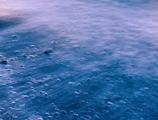 海南种什么赚钱挣钱