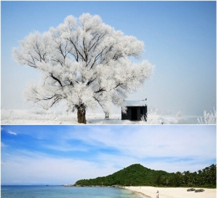 南方种植什么果树赚钱