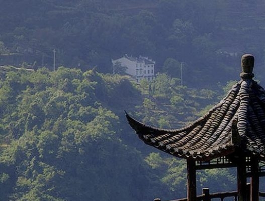 微信赚钱项目平台