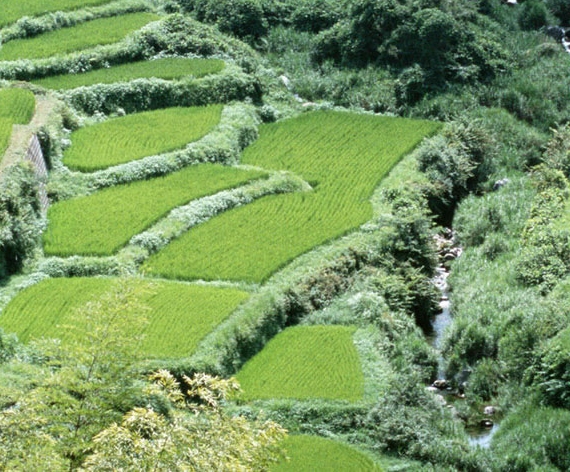 手机挖矿靠什么赚钱