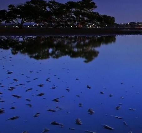 海尔洗衣先生赚钱吗