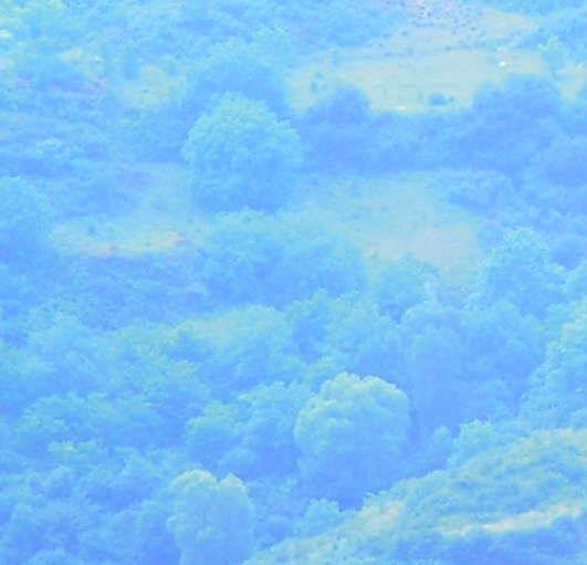 空手赚钱的真实案例