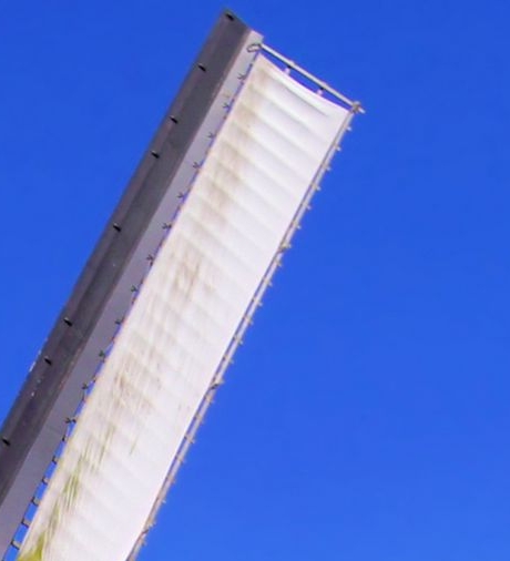 湿地公园什么项目好赚钱