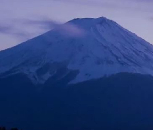 牛杂赚钱方法视频