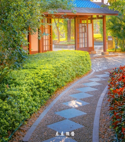 逆向思维赚钱案例视频
