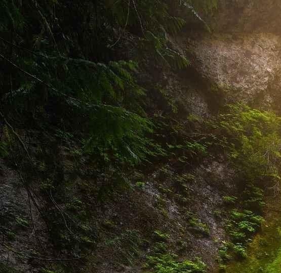 利用现金的赚钱方法