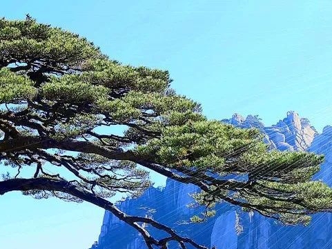 怎样整形项目赚钱