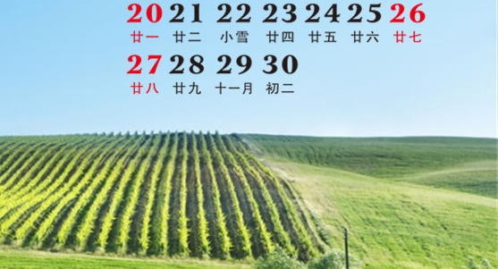 会赚钱的人都不太努力案例分析