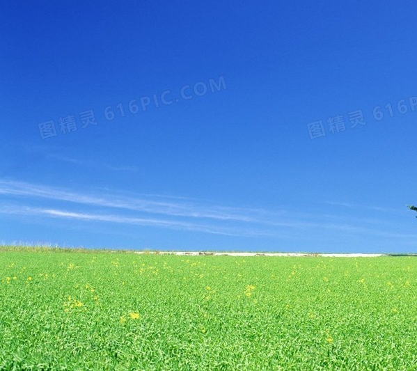 什么小游戏能赚钱并且秒到账