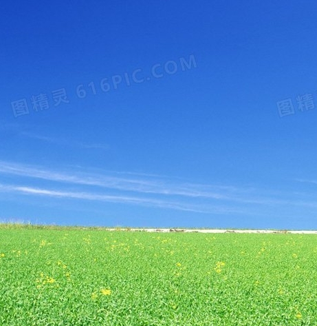 赚钱游戏重置方法