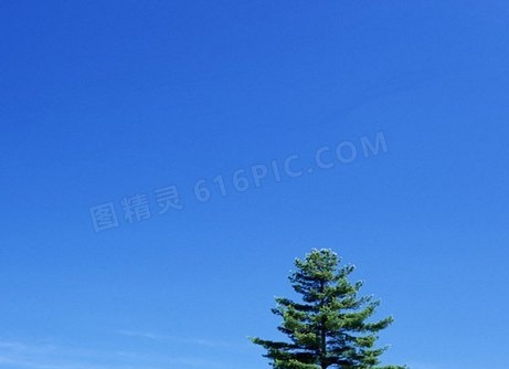 自学摆摊赚钱方法