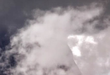 广场现在赚钱最快的项目