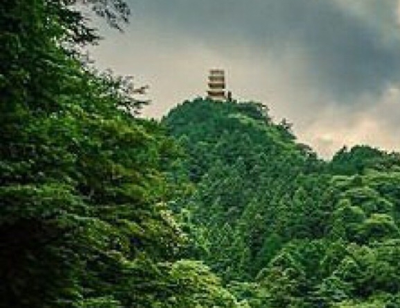 塔罗占星赚钱方法详解